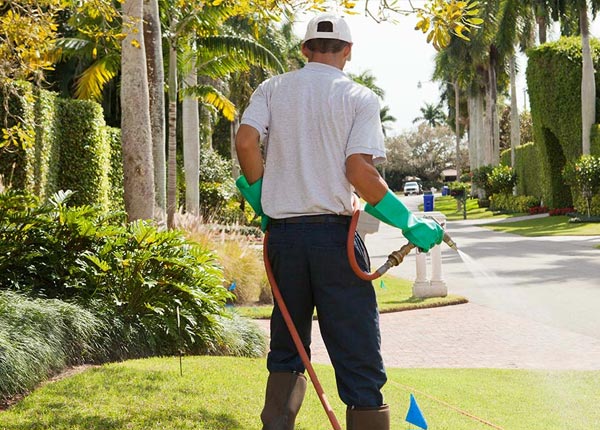 About Hartsfield GA Pest Control Pros
